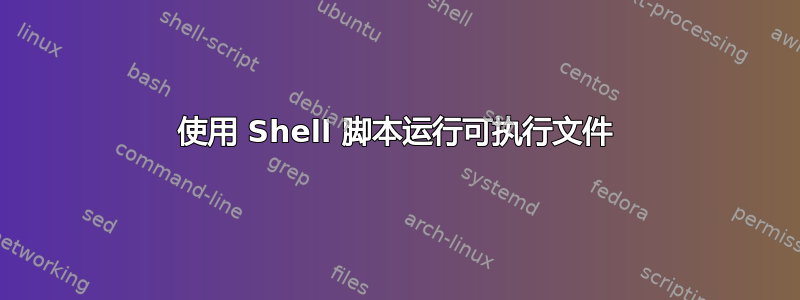 使用 Shell 脚本运行可执行文件