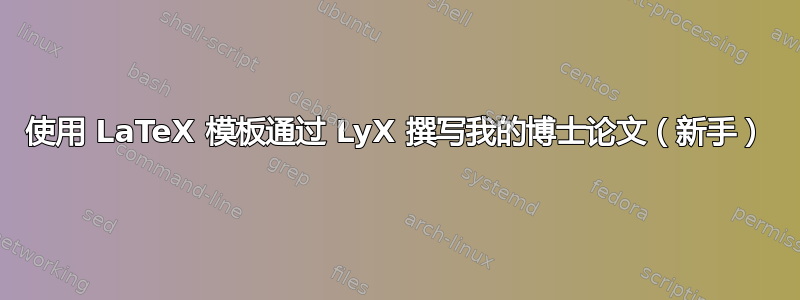 使用 LaTeX 模板通过 LyX 撰写我的博士论文（新手）