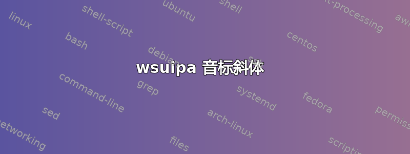 wsuipa 音标斜体 