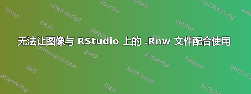 无法让图像与 RStudio 上的 .Rnw 文件配合使用