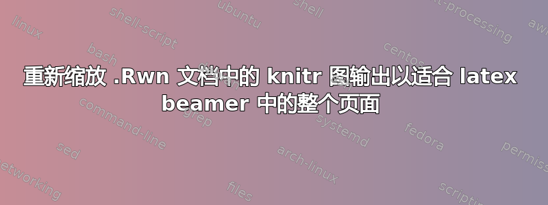 重新缩放 .Rwn 文档中的 knitr 图输出以适合 latex beamer 中的整个页面