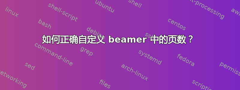 如何正确自定义 beamer 中的页数？