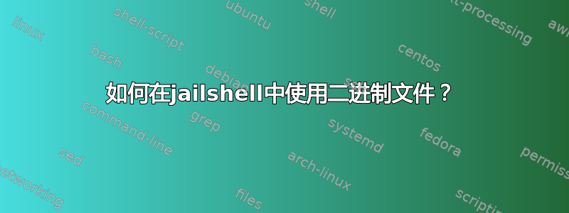 如何在jailshell中使用二进制文件？