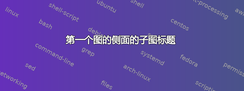 第一个图的侧面的子图标题