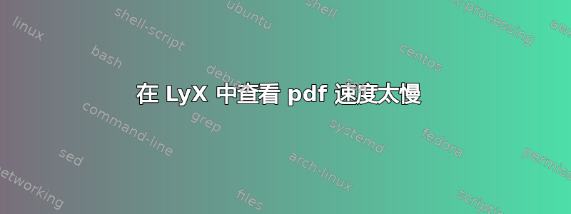 在 LyX 中查看 pdf 速度太慢 