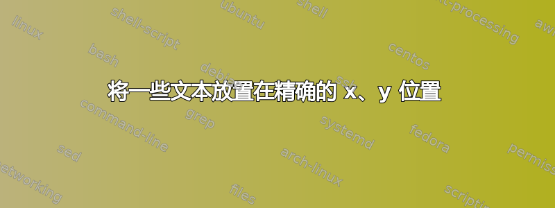 将一些文本放置在精确的 x、y 位置