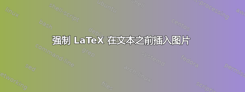 强制 LaTeX 在文本之前插入图片