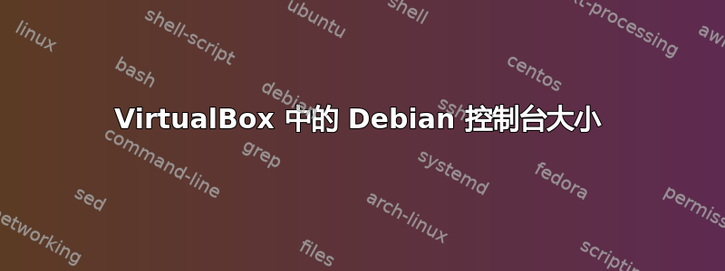 VirtualBox 中的 Debian 控制台大小