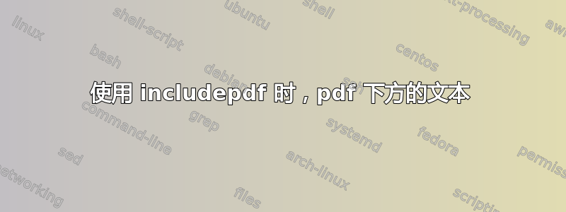 使用 includepdf 时，pdf 下方的文本