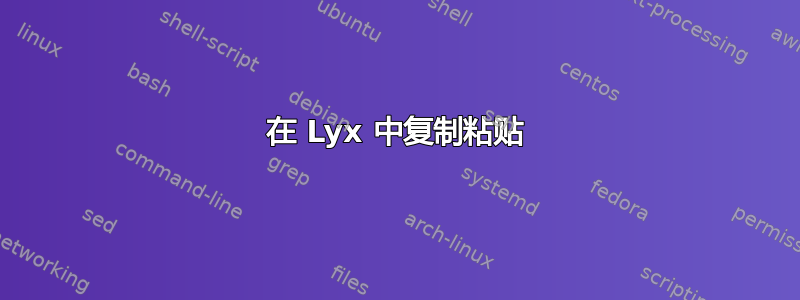 在 Lyx 中复制粘贴