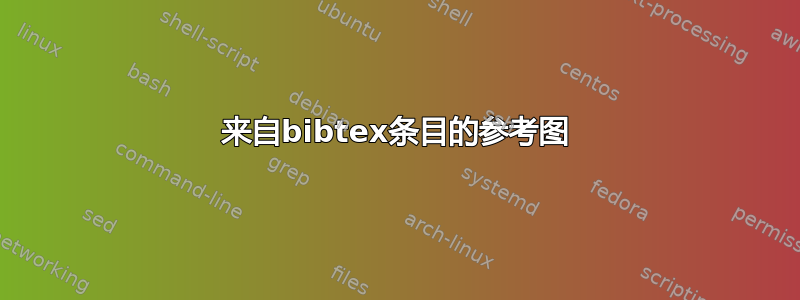 来自bibtex条目的参考图