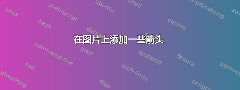 在图片上添加一些箭头