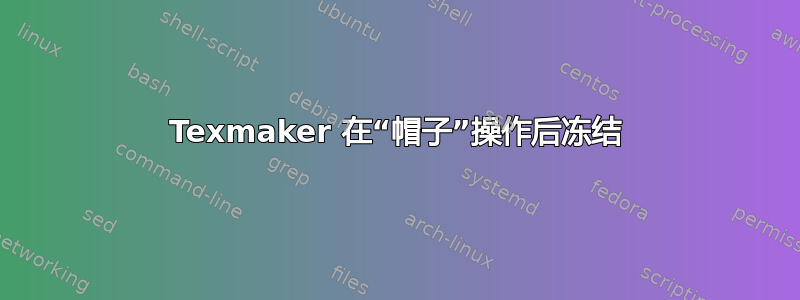 Texmaker 在“帽子”操​​作后冻结