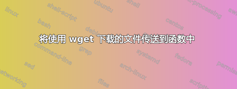 将使用 wget 下载的文件传送到函数中