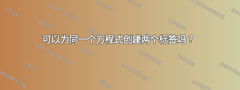 可以为同一个方程式创建两个标签吗？