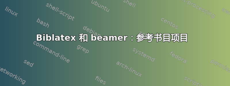 Biblatex 和 beamer：参考书目项目 