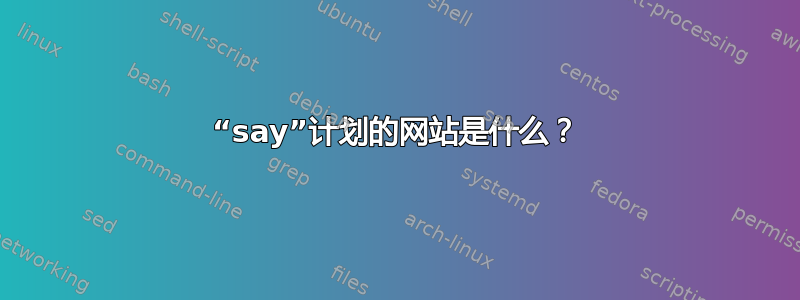 “say”计划的网站是什么？