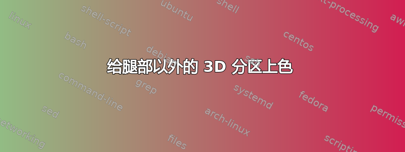 给腿部以外的 3D 分区上色