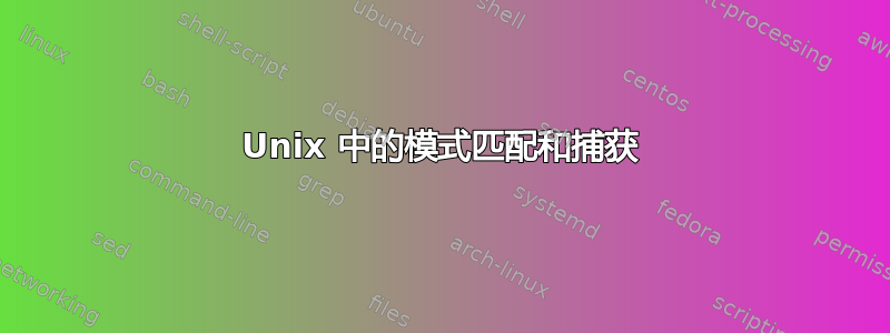 Unix 中的模式匹配和捕获