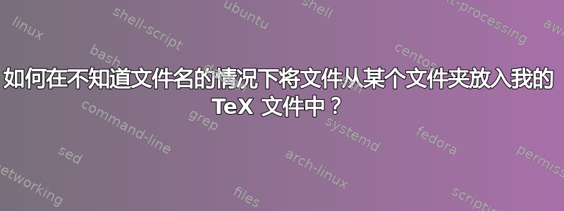 如何在不知道文件名的情况下将文件从某个文件夹放入我的 TeX 文件中？