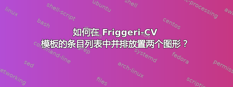 如何在 Friggeri-CV 模板的条目列表中并排放置两个图形？