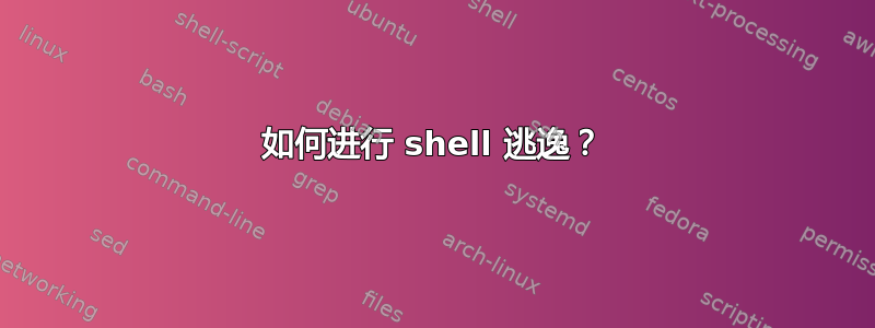 如何进行 shell 逃逸？