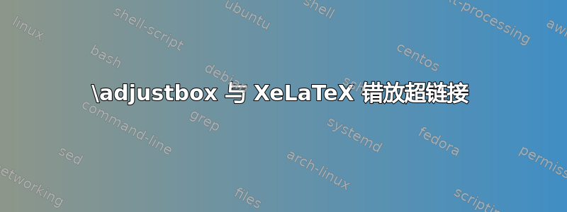 \adjustbox 与 XeLaTeX 错放超链接