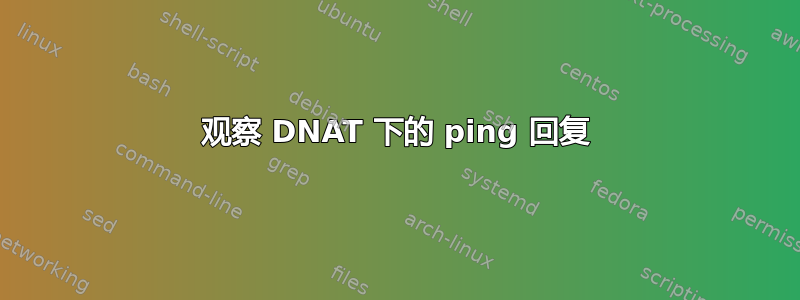 观察 DNAT 下的 ping 回复