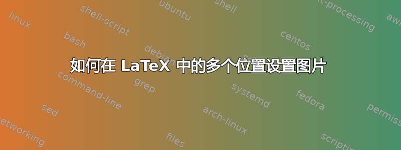 如何在 LaTeX 中的多个位置设置图片