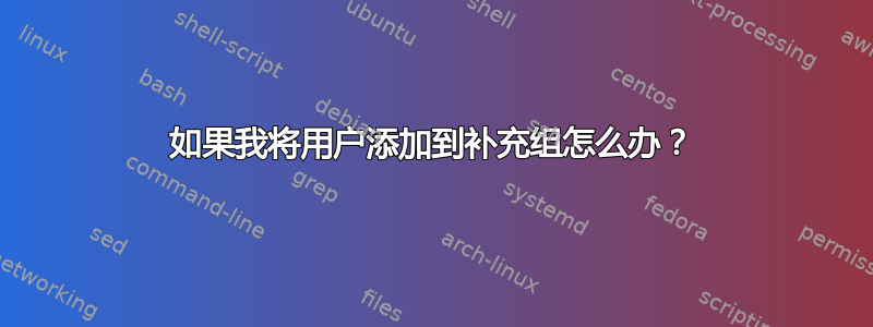 如果我将用户添加到补充组怎么办？