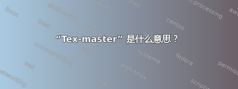 “Tex-master” 是什么意思？