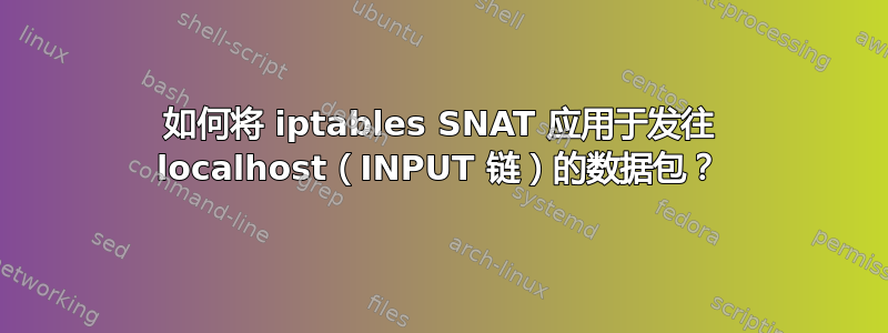 如何将 iptables SNAT 应用于发往 localhost（INPUT 链）的数据包？