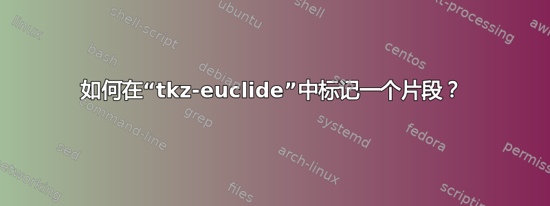 如何在“tkz-euclide”中标记一个片段？