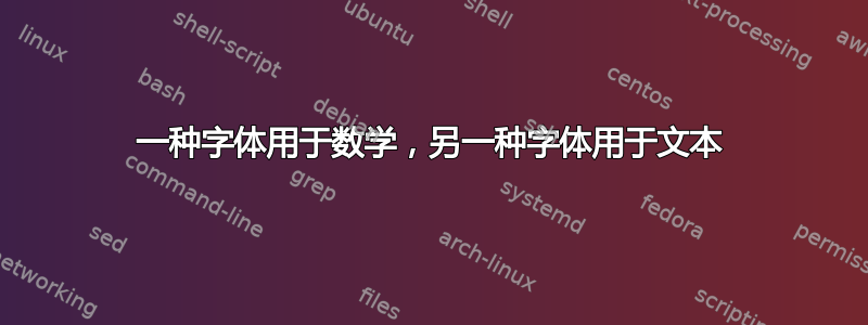 一种字体用于数学，另一种字体用于文本