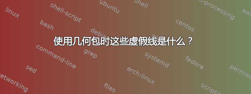 使用几何包时这些虚假线是什么？