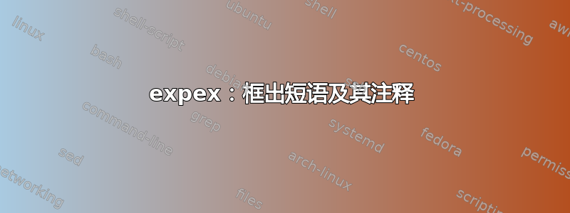 expex：框出短语及其注释