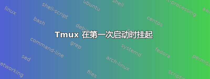 Tmux 在第一次启动时挂起