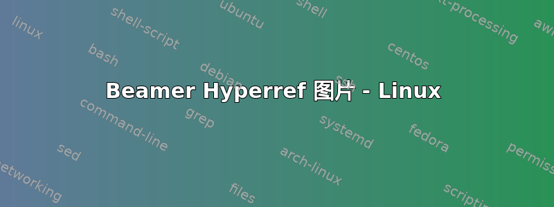 Beamer Hyperref 图片 - Linux