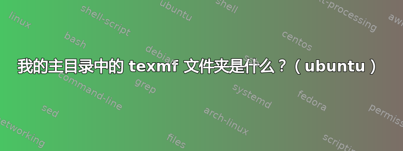 我的主目录中的 texmf 文件夹是什么？（ubuntu）