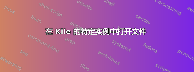 在 Kile 的特定实例中打开文件