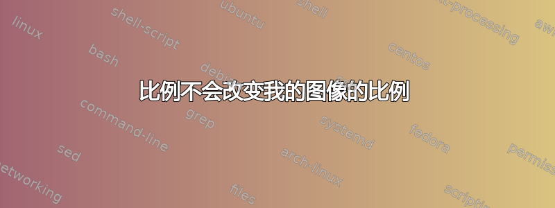 比例不会改变我的图像的比例