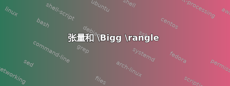 张量和 \Bigg \rangle