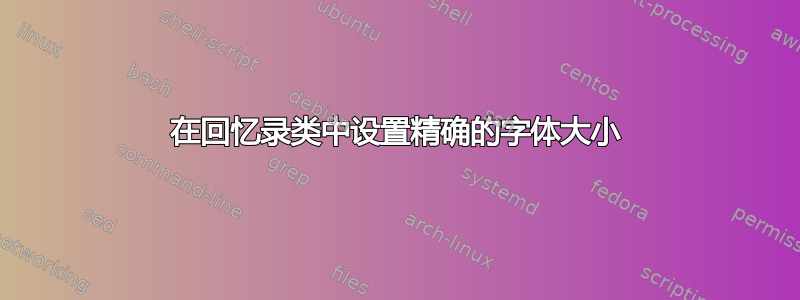 在回忆录类中设置精确的字体大小