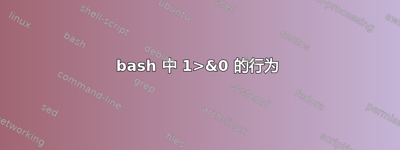 bash 中 1>&0 的行为