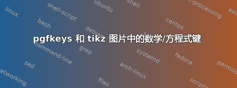 pgfkeys 和 tikz 图片中的数学/方程式键