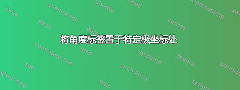 将角度标签置于特定极坐标处