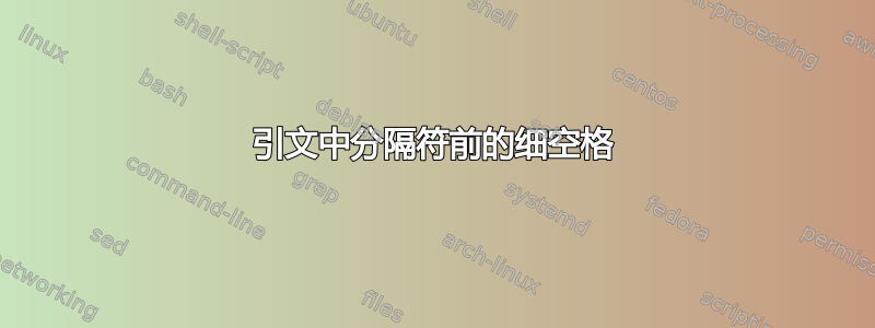 引文中分隔符前的细空格