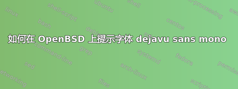 如何在 OpenBSD 上提示字体 dejavu sans mono