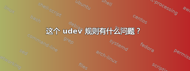 这个 udev 规则有什么问题？