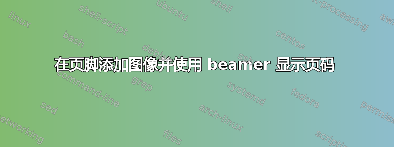 在页脚添加图像并使用 beamer 显示页码